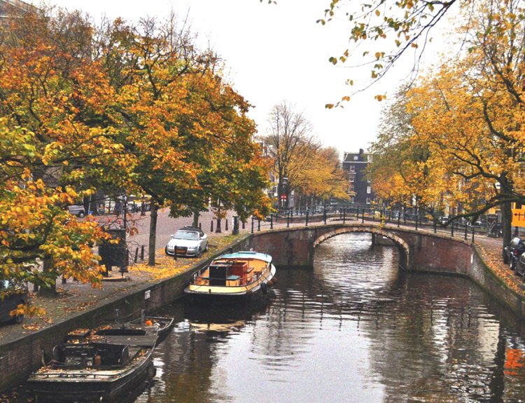 things to do in amsterdam in october