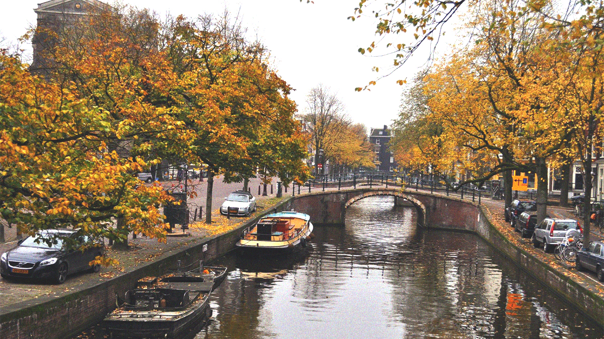 things to do in amsterdam in october