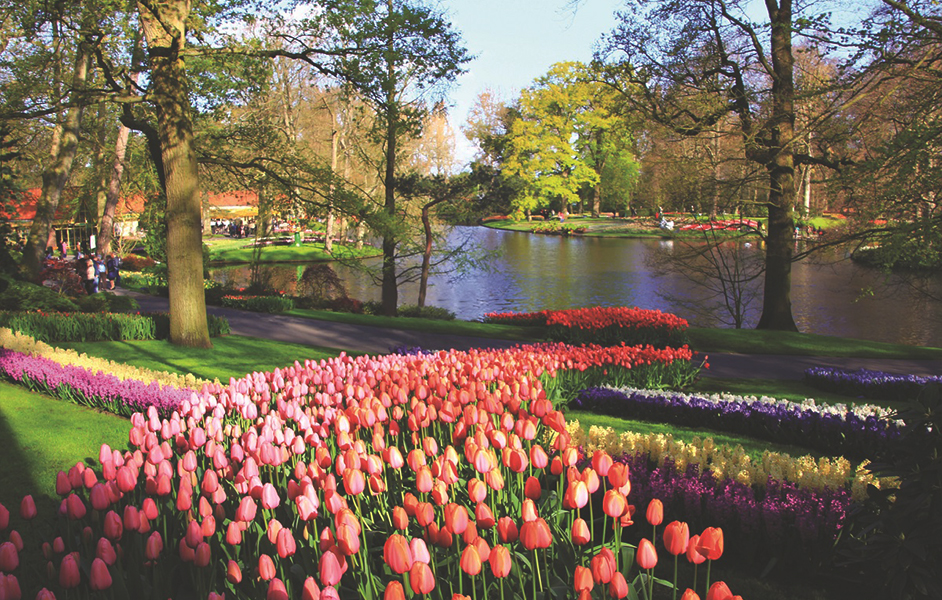 Keukenhof-Tulip-Gardens