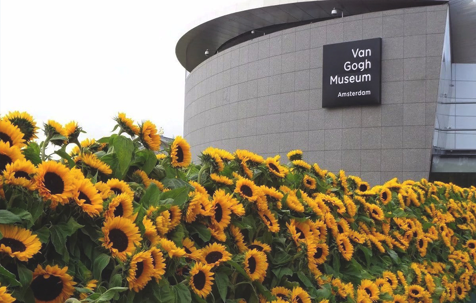 things to do in Amsterdam for young adults visit van gogh museum