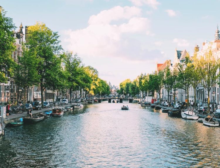 things to do in amsterdam in march featured image