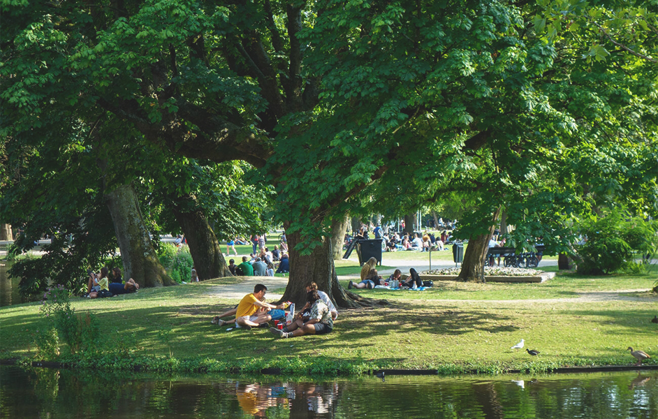 Vondelpark: Amsterdam's Green Oasis