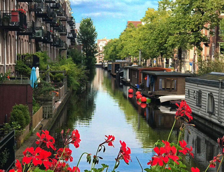 fun things to do in Amsterdam